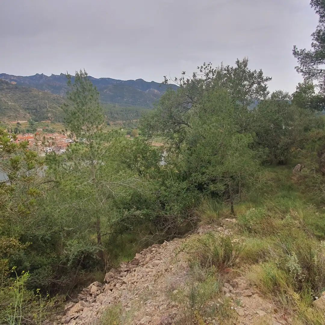 Terrain rustique à vendre à Benifallet, imagen 16