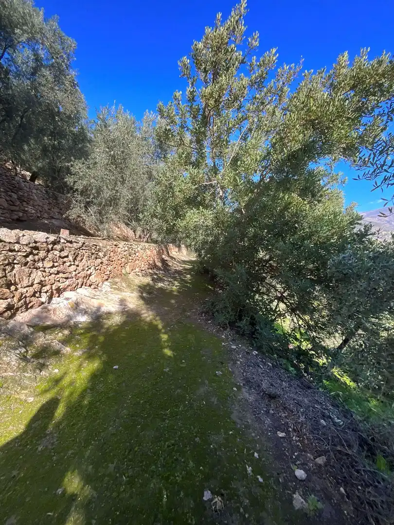 Terreni e lotti in vendita a Solero, imagen 23