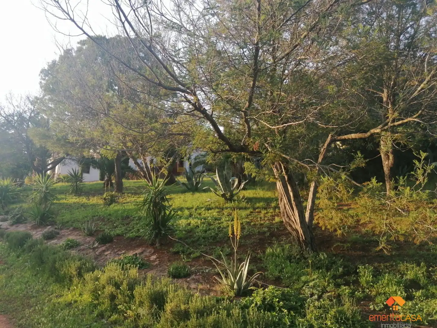 Casa rústica amb piscina en venda a Alange, imagen 13