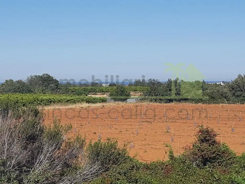 Terreno residencial en venta en Pueblo, imagen 2