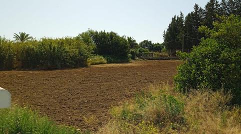 Foto 3 de Finca rústica en venda a Parque Atlántico - Ronda este, Jerez de la Frontera