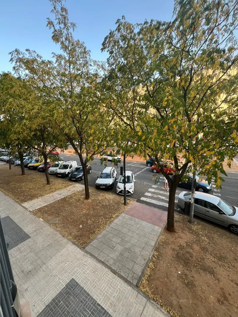 Pis amb terrassa de lloguer a Este - Alcosa- Torreblanca, imagen 12