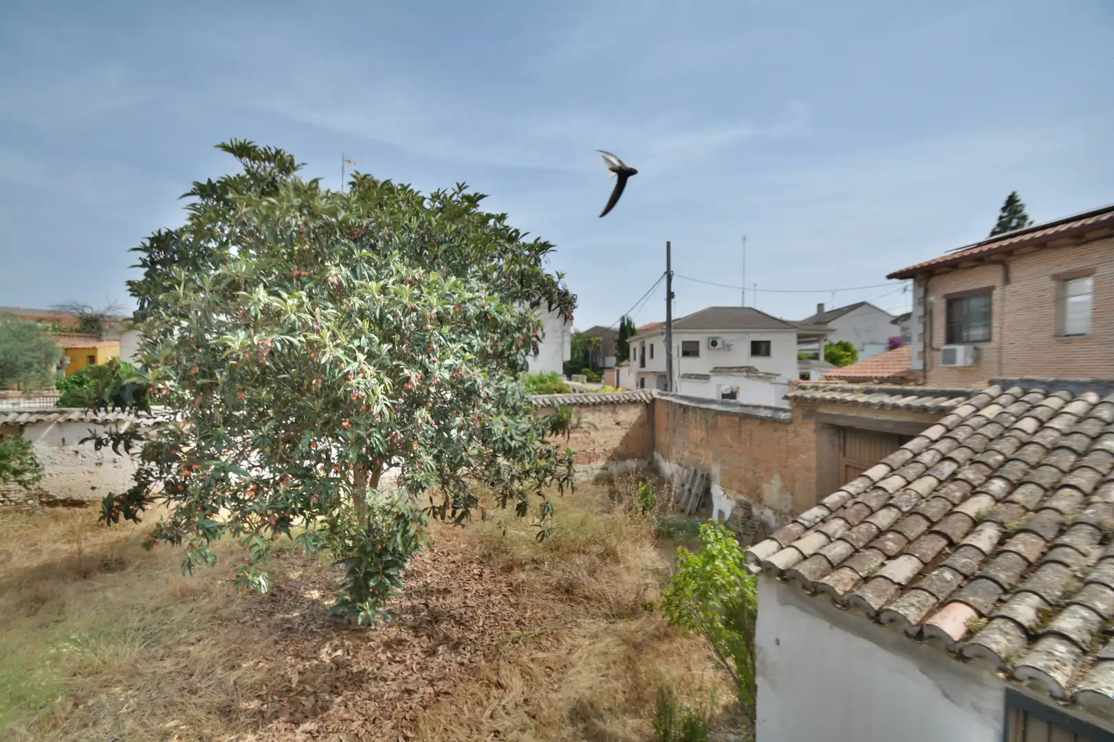 House with terrace for sale in Calle del Barrio de Arriba 2, imagen 21