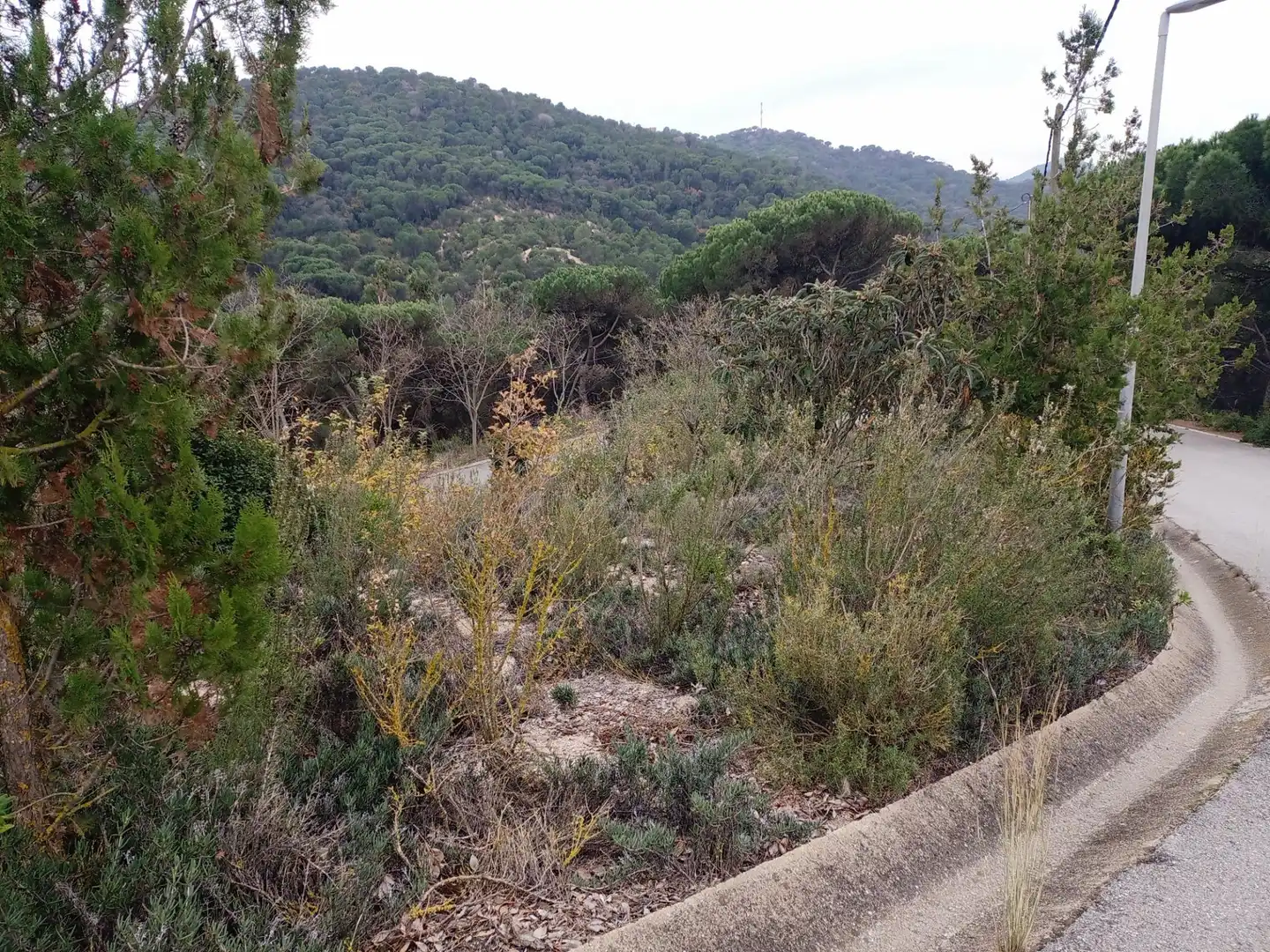 Terrenos y solares en venta en Vilanova del Vallès, imagen 6
