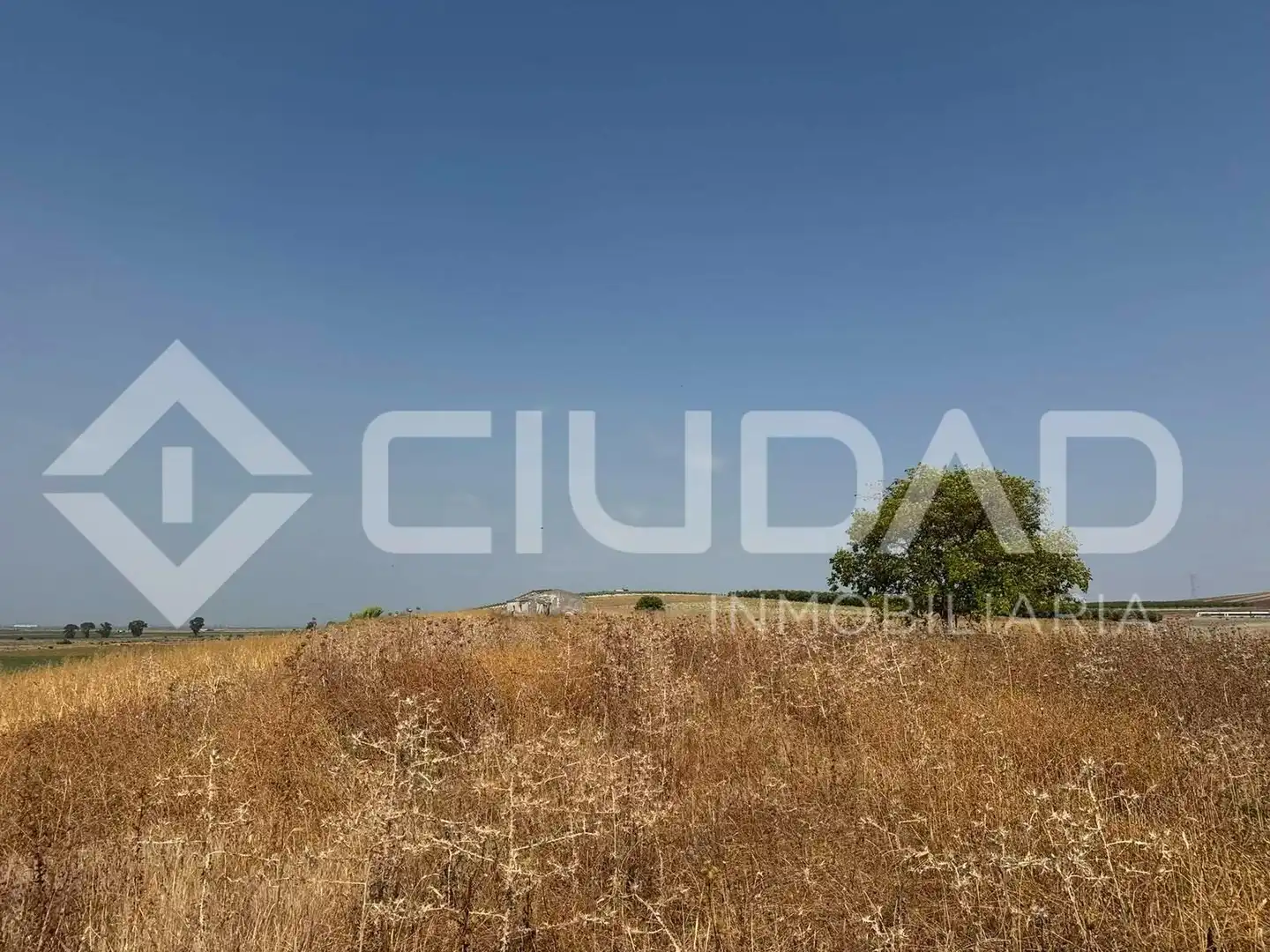 Lands and plots for sale in Lebrija, imagen 8