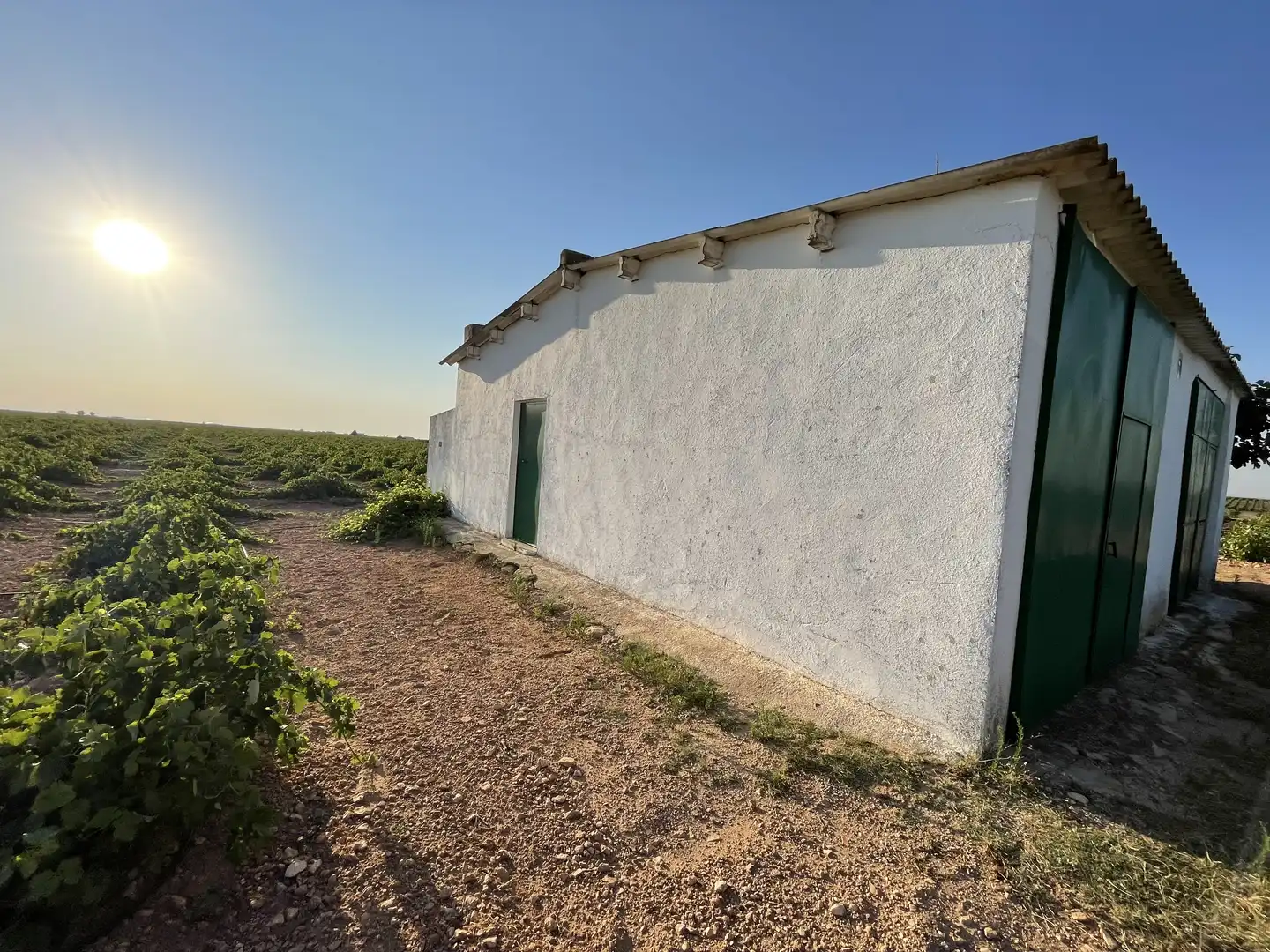 Terreno rústico en venta en Tomelloso, imagen 25