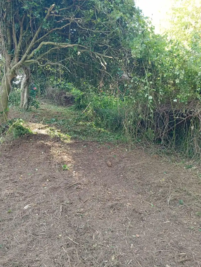 Terreni e lotti in vendita a Centro de Culleredo, imagen 25