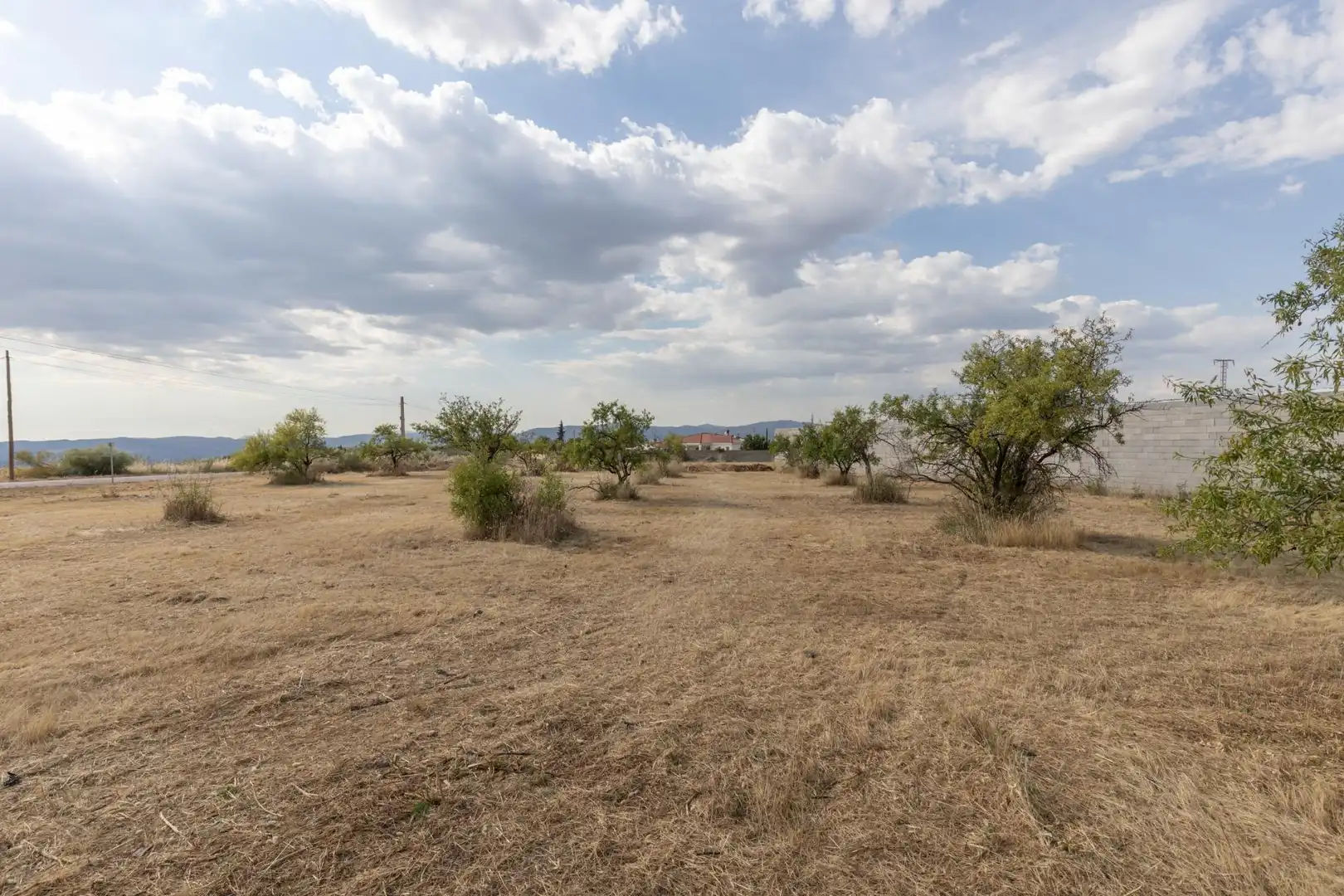 Rural land for sale in Moraleda de Zafayona, imagen 16