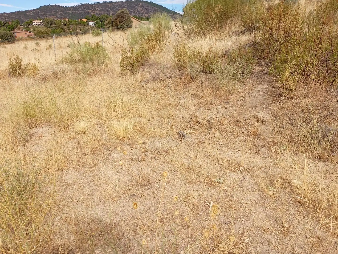 Terrenos y solares en venta en Robledo de Chavela, imagen 30