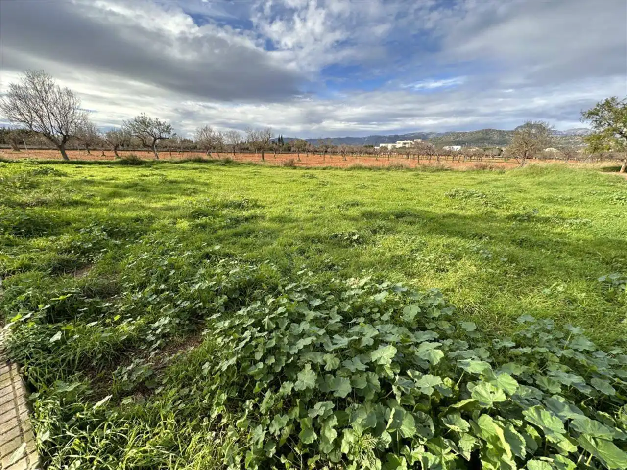 Terreno rustico in vendita a Calle Pou Bo, imagen 6