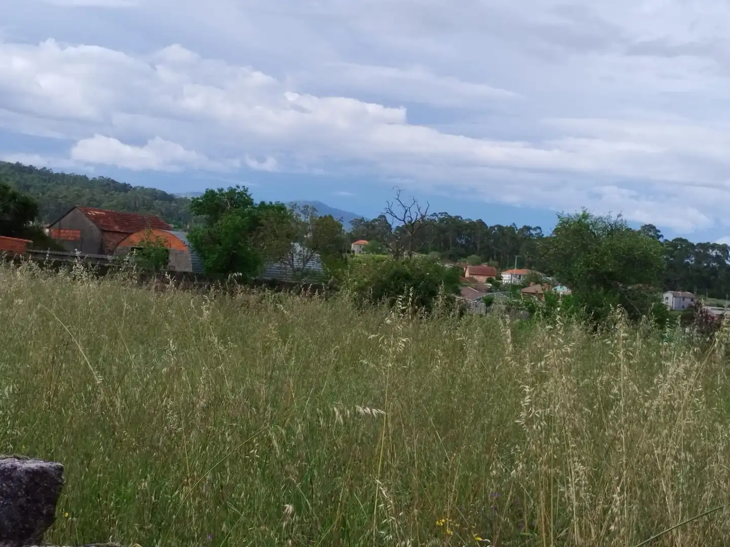 Casa con jardín en venta en Tomiño, imagen 3