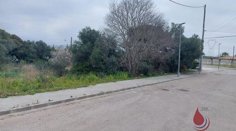 Santa OlivaTerreno