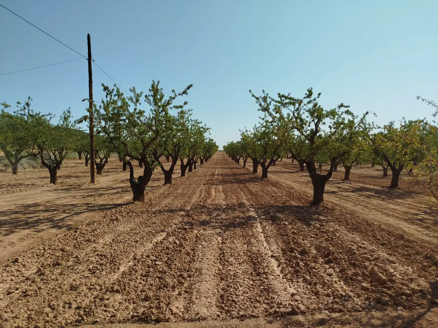 Rural land for sale in Horta de Sant Joan, imagen 15