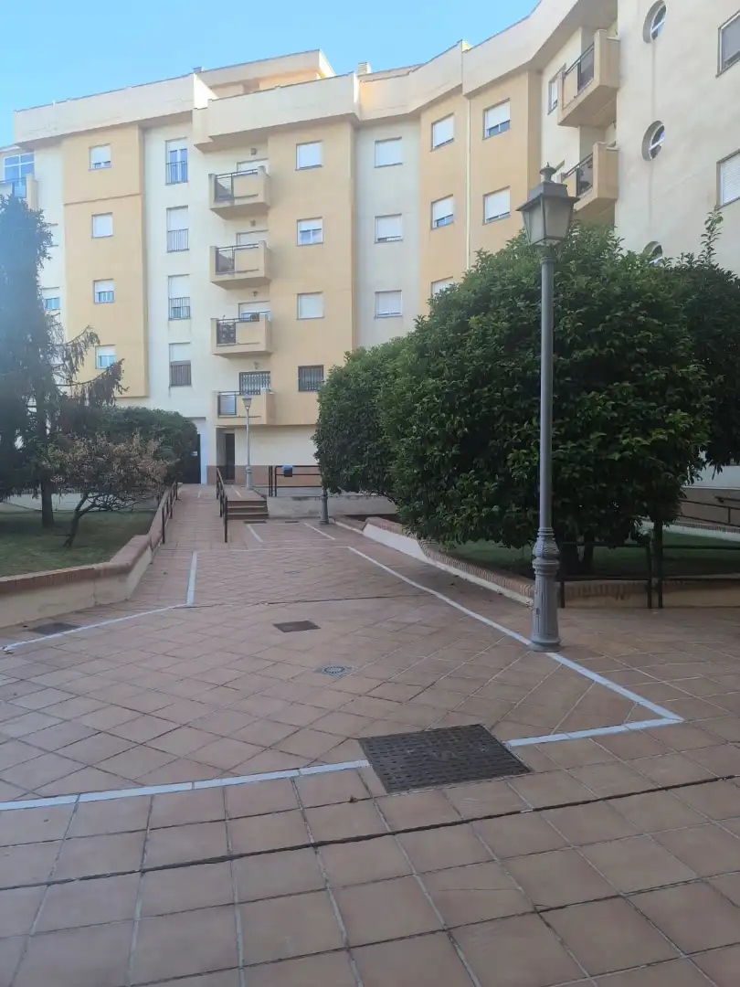 Pis amb terrassa de lloguer a Calle Rio Genil 2, imagen 11