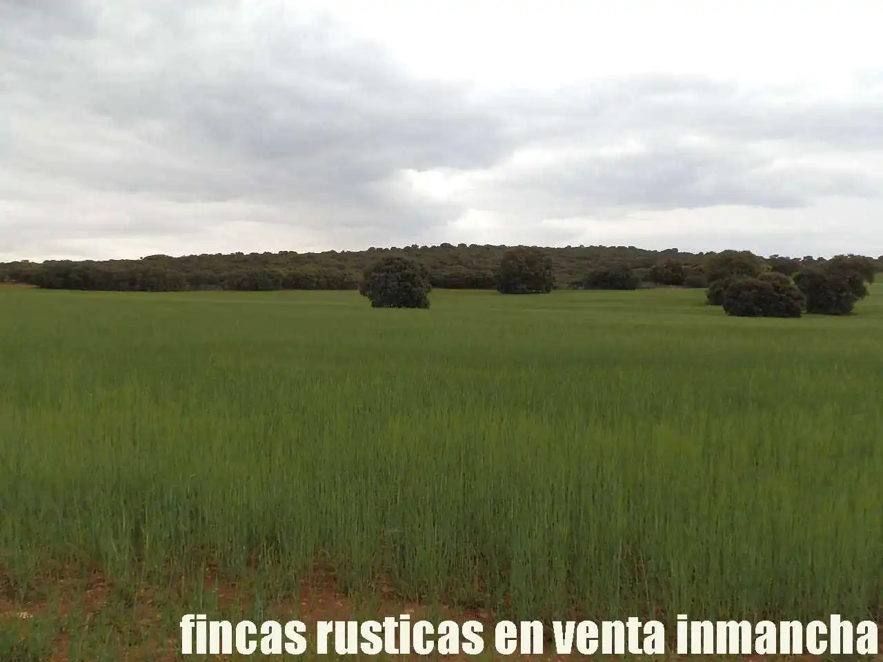 Terreno rustico in vendita a Ruidera, imagen 18