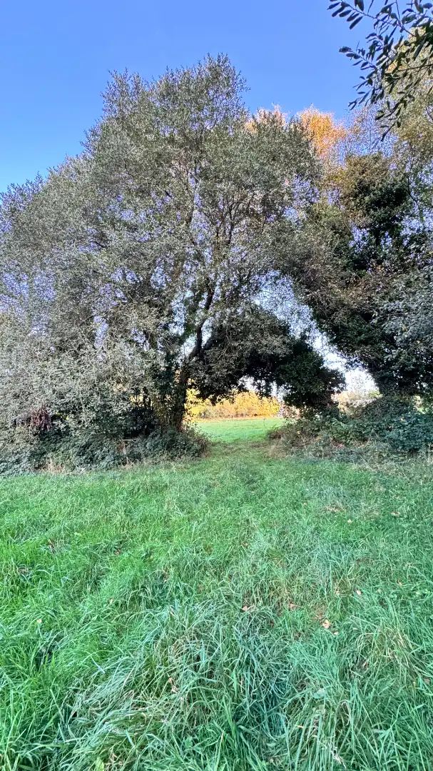 Casa amb jardí en venda a Bocixa, imagen 73