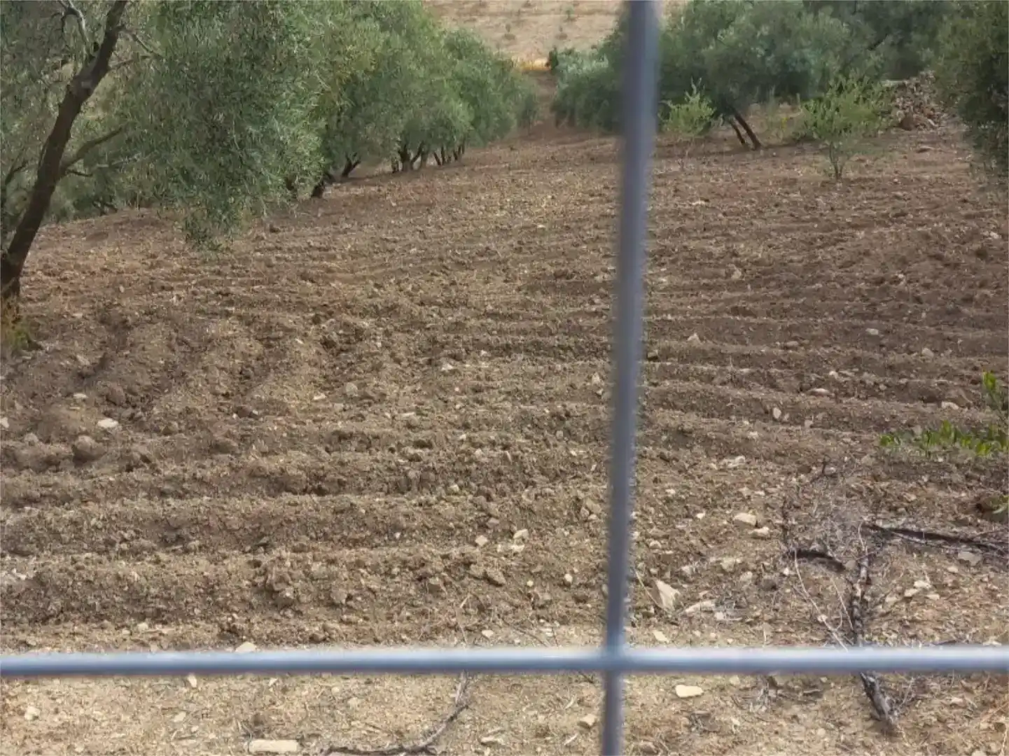 Pis en venda en Almogía, Málaga