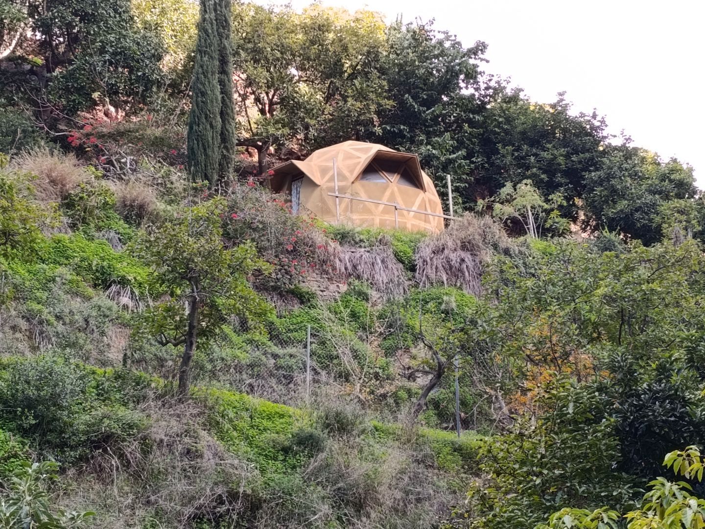 Exterior view of Land for sale in Nerja