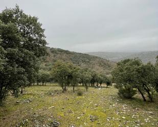 Residencial en venda en Venturada