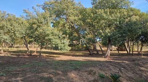 Photo 4 of Country house for sale in Calle Hortènsia, Mas Mora - Sant Daniel, Tordera