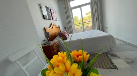 Foto 2 de Piso de alquiler en El Coloso, Hacienda Torrequebrada, Málaga