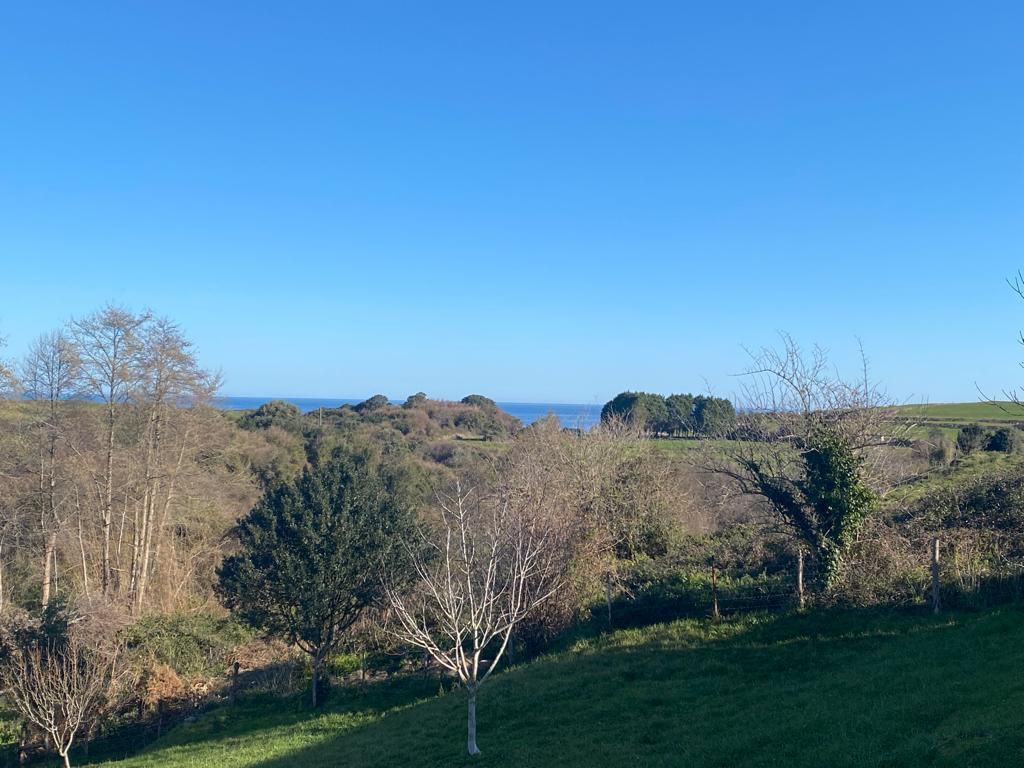 Residencial en venda en Val de San Vicente 