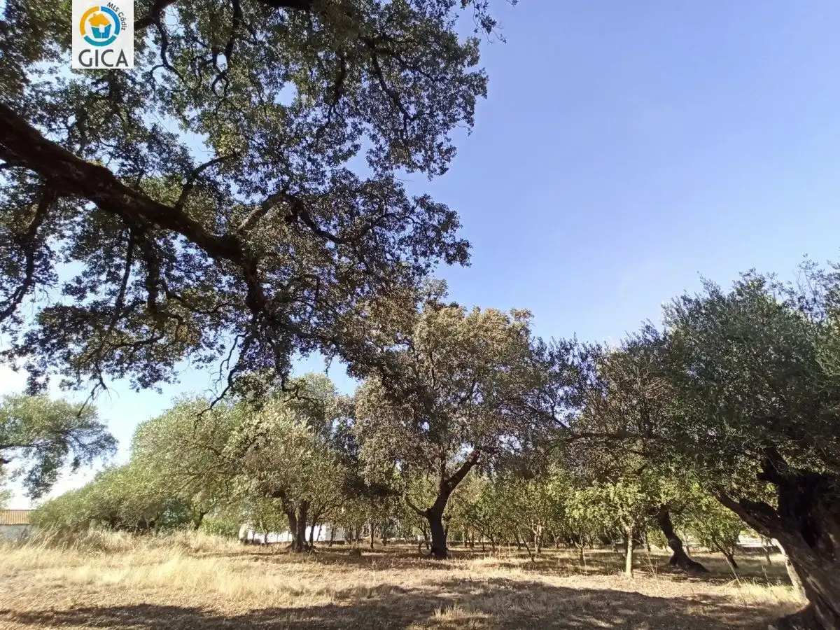 Casa rústica en venda a El Bosque, imagen 43