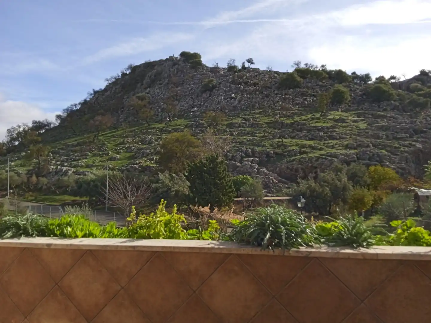 Jardín de Casa o chalet en venta en Cuevas del Becerro con Aire acondicionado, Calefacción y Jardín privado