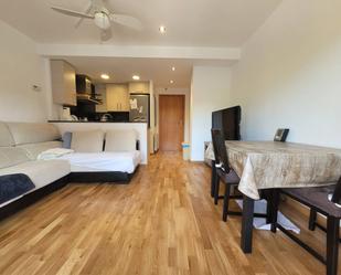 Sala d'estar de Pis en venda en Santa Eulàlia de Riuprimer amb Aire condicionat, Calefacció i Parquet