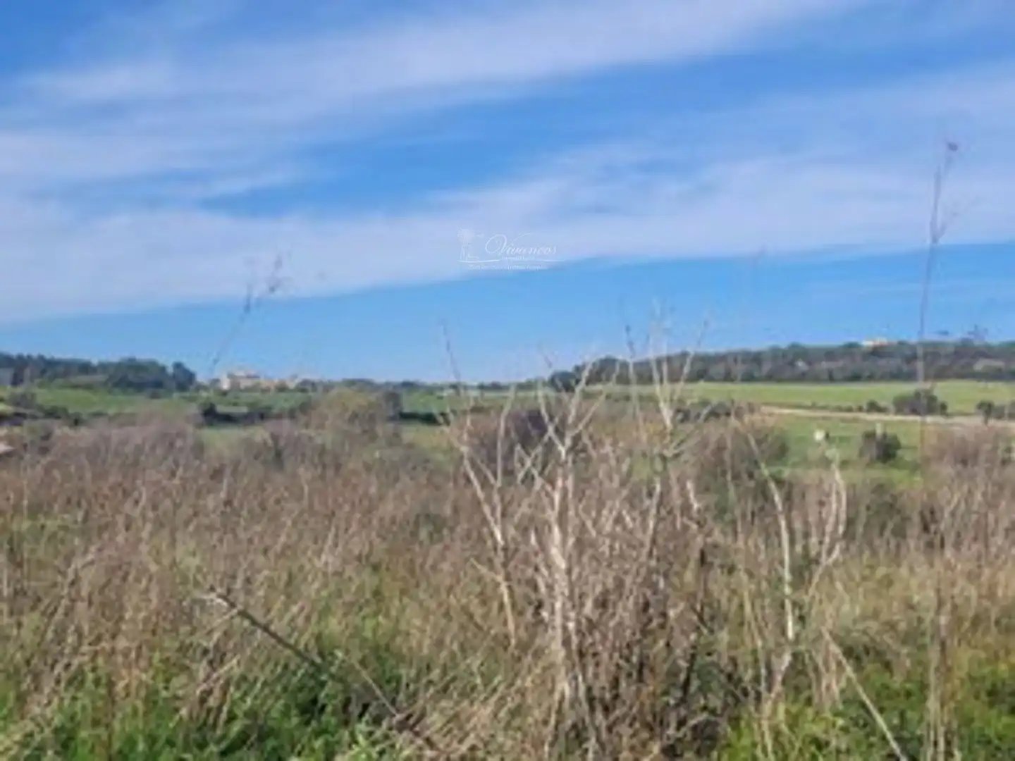 Rural land for sale in calle de costa y llobera 2, imagen 2
