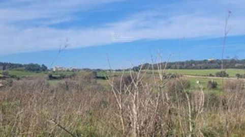 Se vende terreno en Algaida, Mallorca, imagen 2