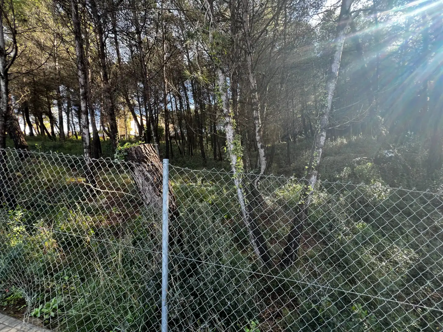 Residencial en venda en Olesa de Bonesvalls