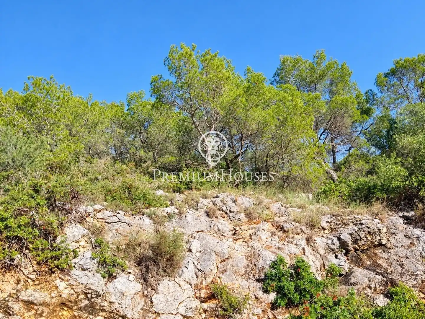 Residential land for sale in Mas Alba, imagen 14