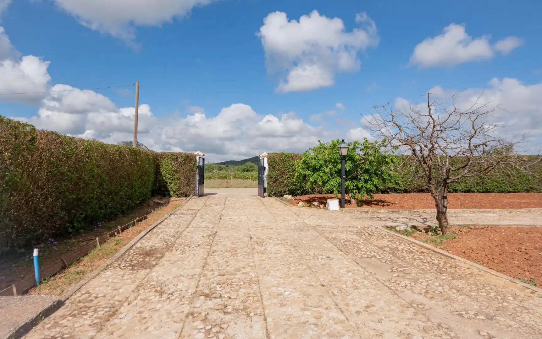 House with garden for sale in Villanueva del Rosario, imagen 9
