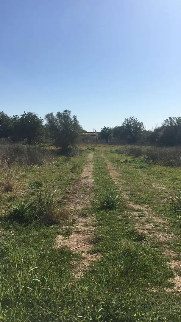 Terreno rustico in vendita a Pl 19, imagen 6