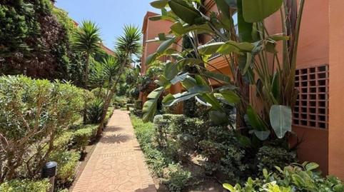 Photo 3 of Planta baja for rent in Centro, Estepona