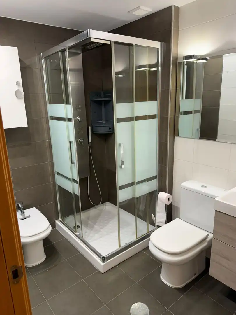 Duplex with terrace to rent in Calle RIO ZUMETA 19, imagen 37