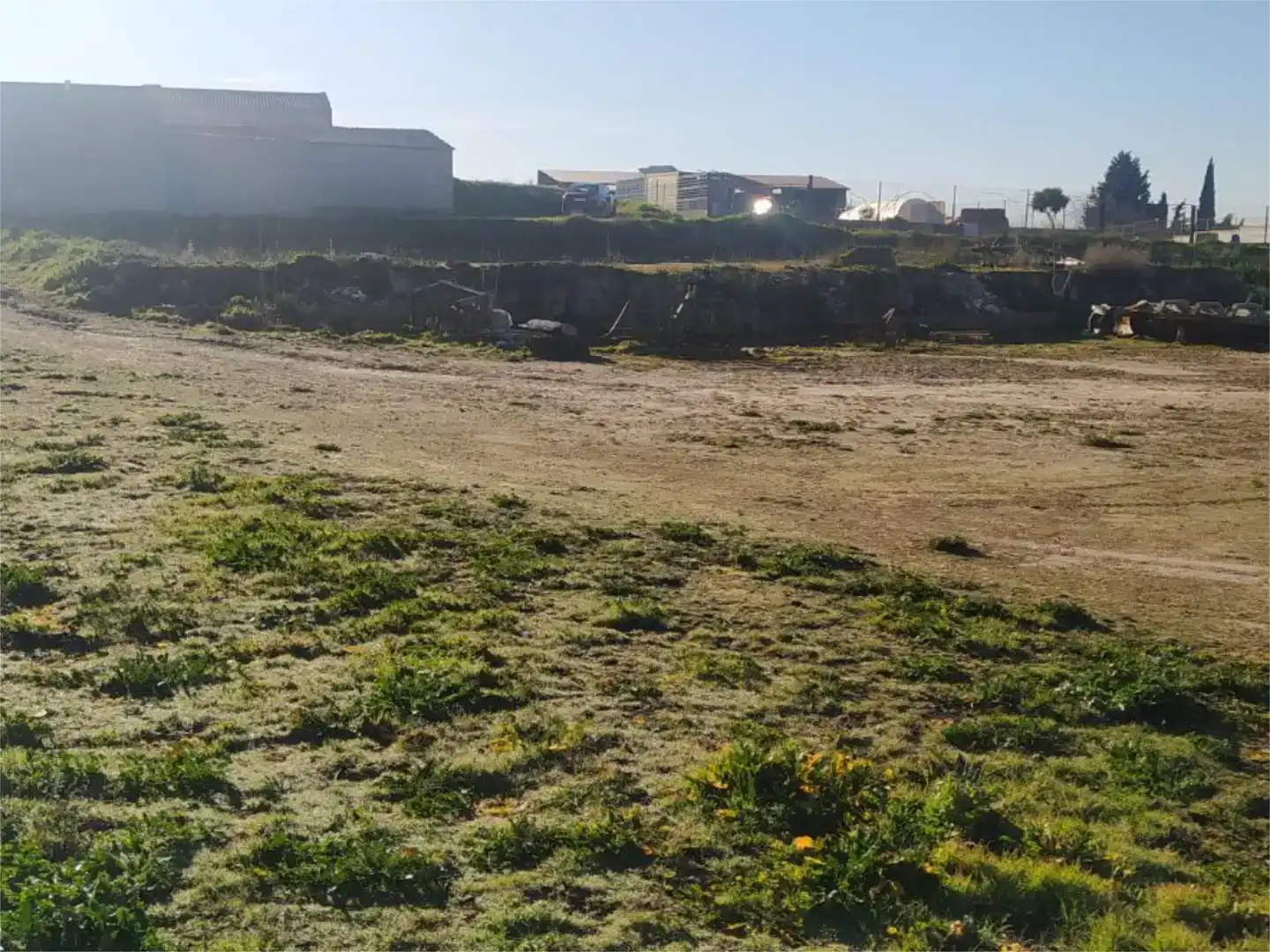 Land for sale in Driebes, Guadalajara