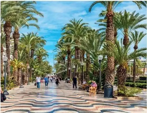 Piano terra con piscina in vendita a Calle Matí, imagen 15