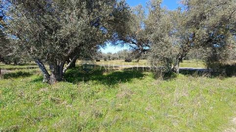 TERRENO RÚSTICO CON MUY BUEN ACCESO A MÉNTRIDA Y A URB.CALALBERCHE