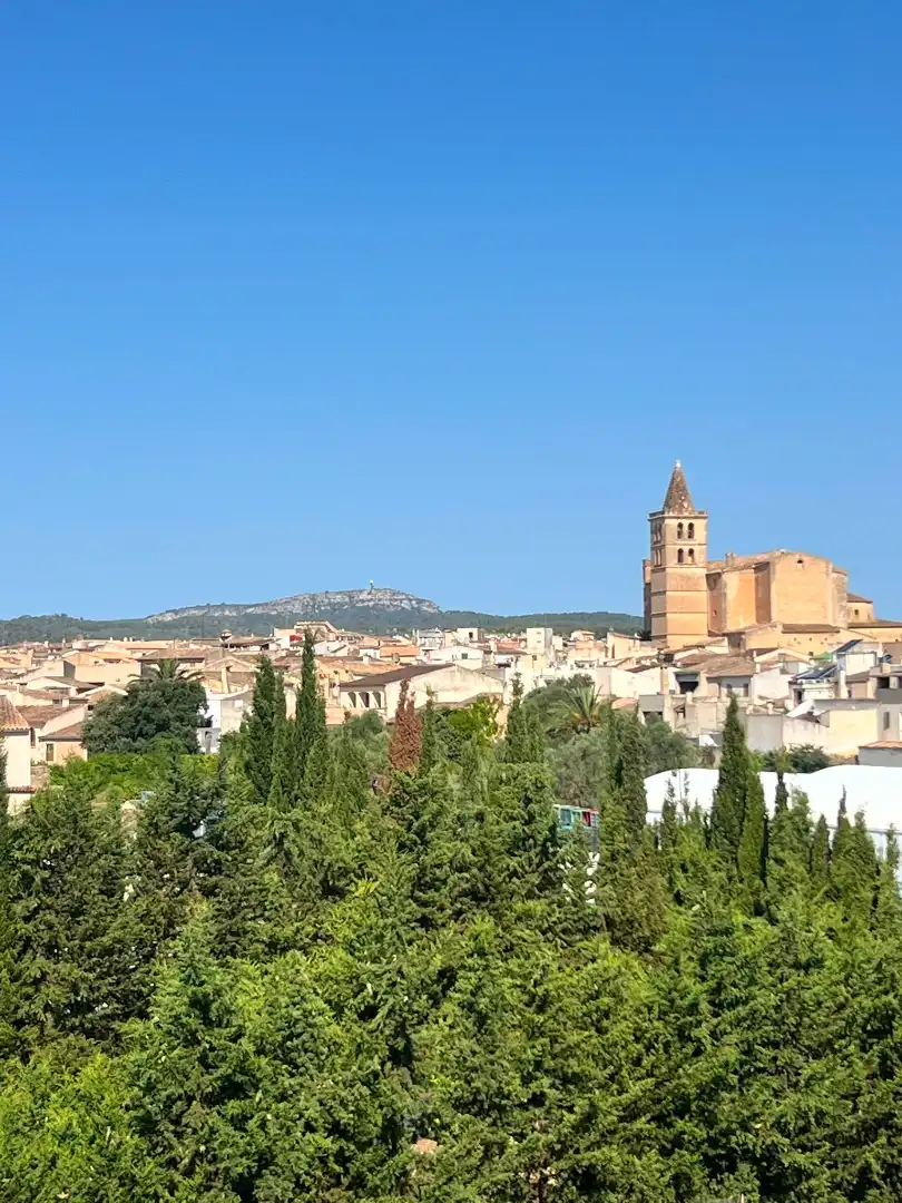 Pis amb terrassa en venda a Ronda de Porrera 1e