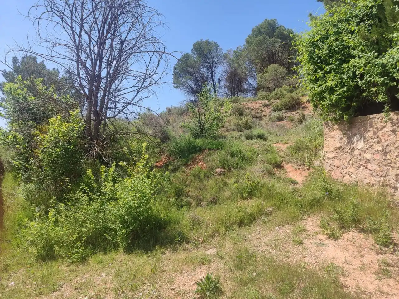 Lands and plots for sale in Avenida Madrid Valencia, imagen 5