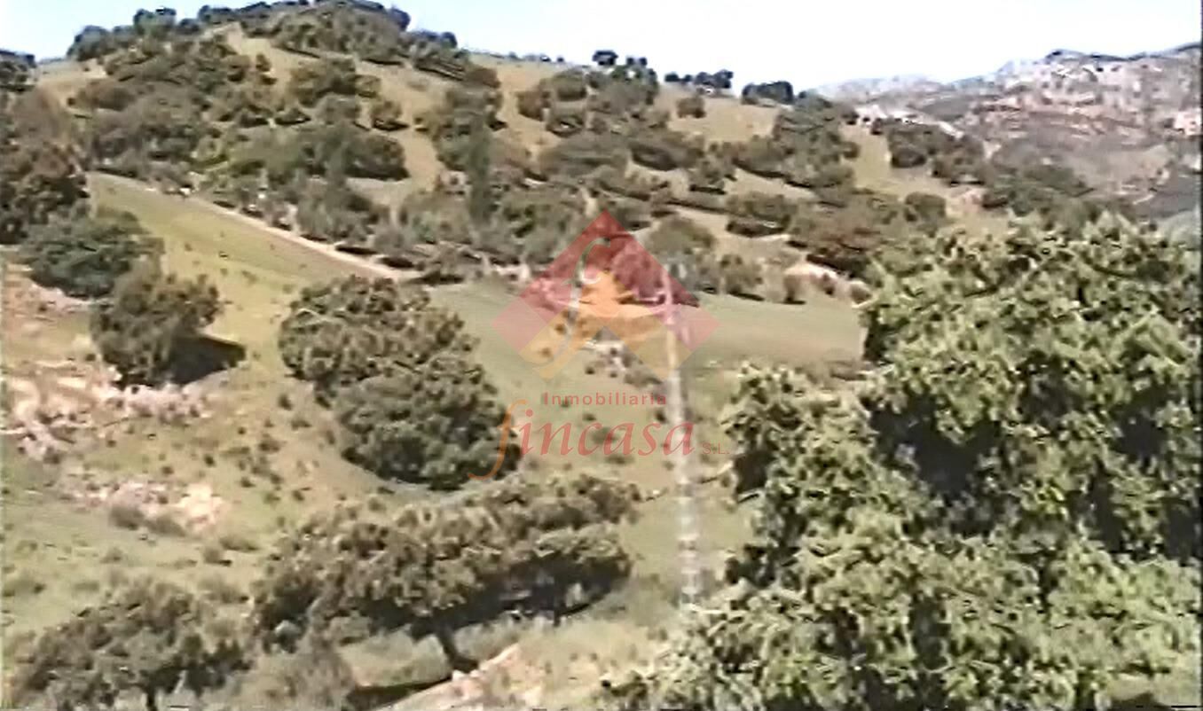 Finca rústica en venta en Ronda