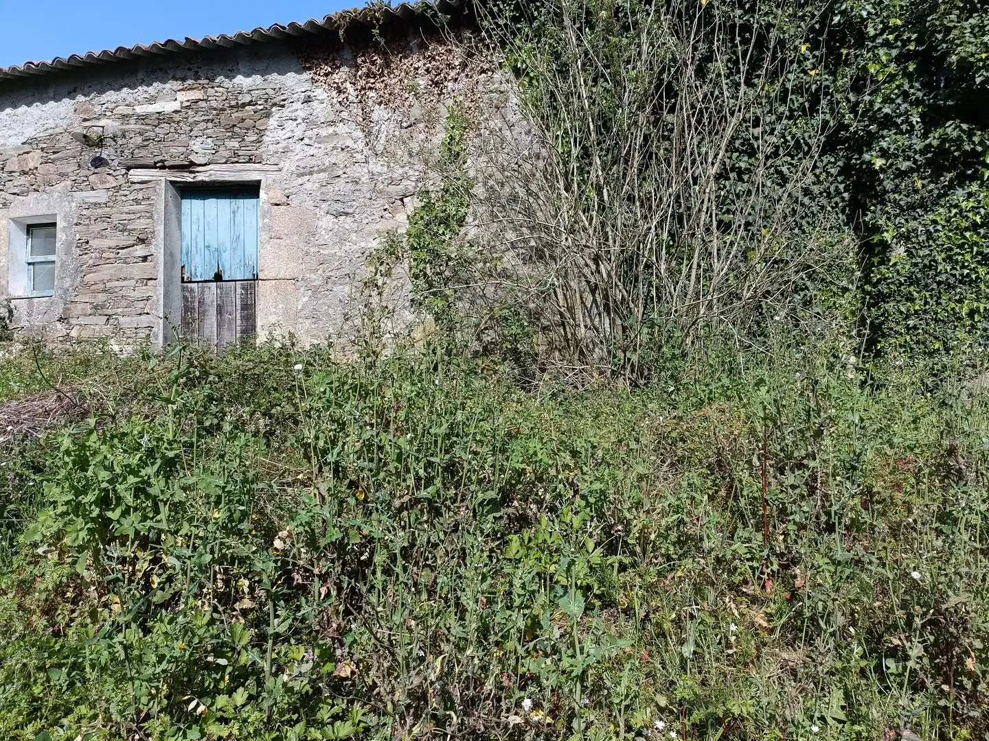 Casa o chalet en venta en Cesuras con Jardín privado y Trastero