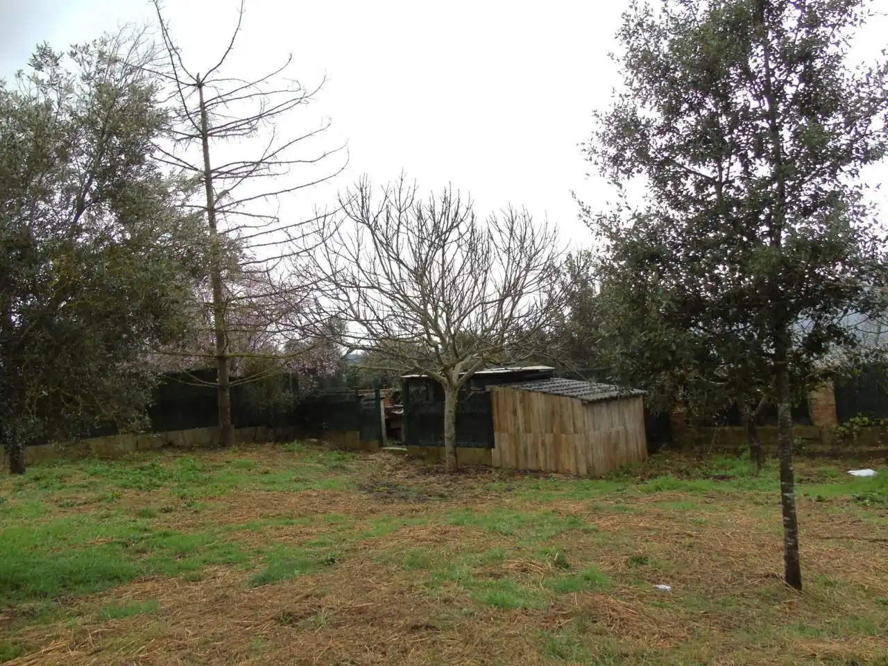 Detached house with garden for sale in Seva, imagen 44