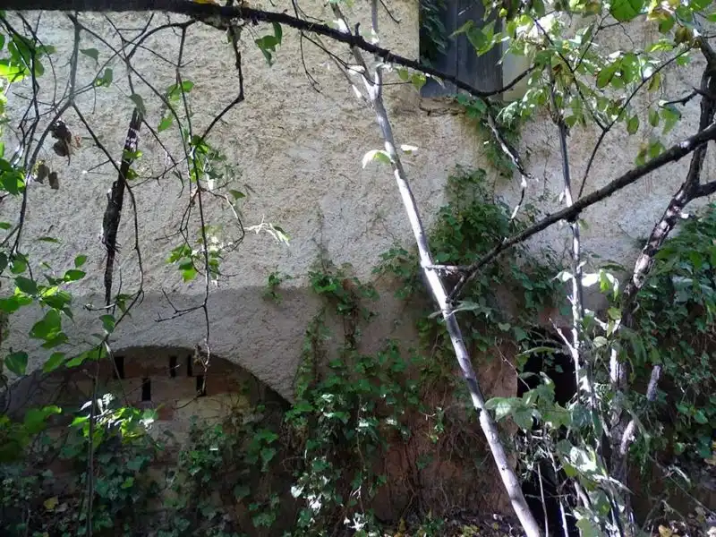 Garden of Country homes for sale in La Fresneda