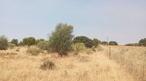 MéridaTerreno, immagine 3