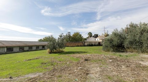 Te falta espacio o lo tuyo es la Agricultura?. Suelo rustico con 6800 metros cuadrados y 2 naves., imatge 3