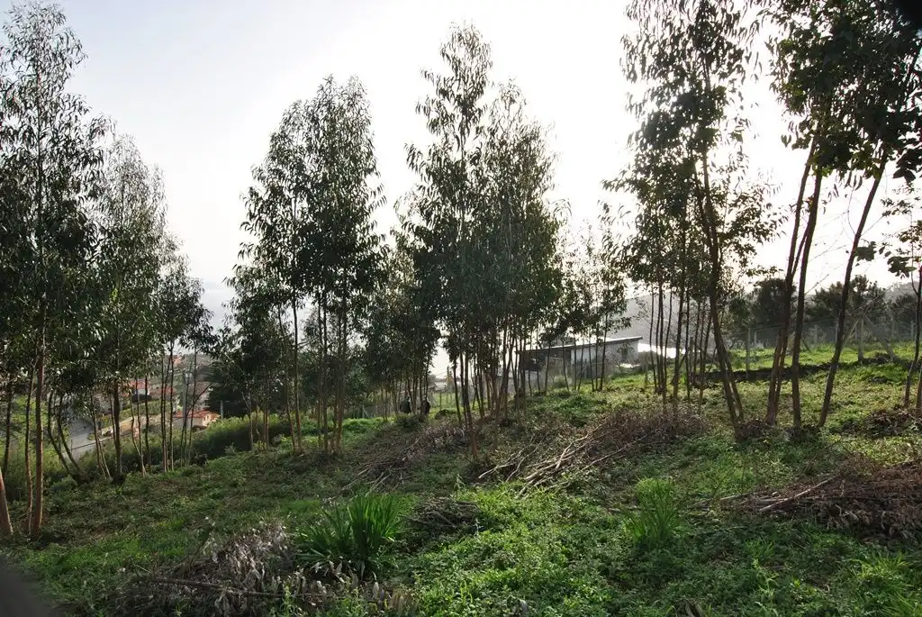 Residential land for sale in N/A, imagen 27