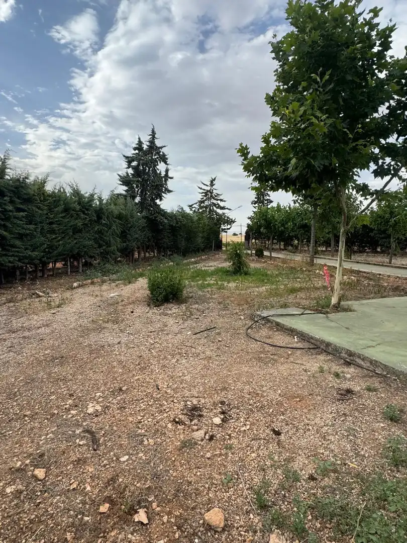 Houses for sale in Daimiel